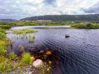 Keels, Nowa Fundlandia